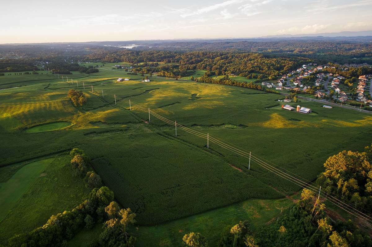 golf course green grass during daytime grassland